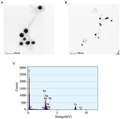 Aaqueous exposure to silver nanoparticles synthesized by abalone viscera hydrolysates promotes the growth, immunity and gut health of zebrafish (Danio rerio)